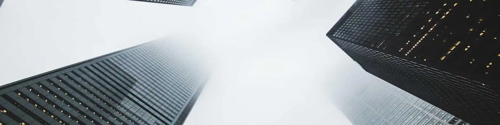 4只鼠飞冲天！小鼠航天员将入驻中国空间站，魔鬼训练画面首曝光