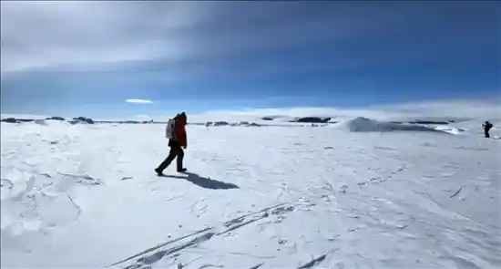 996困局下的呐喊：新东方员工直击数字化职场权益痛点